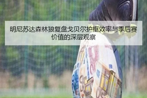 明尼苏达森林狼复盘戈贝尔护框效率与季后赛价值的深层观察