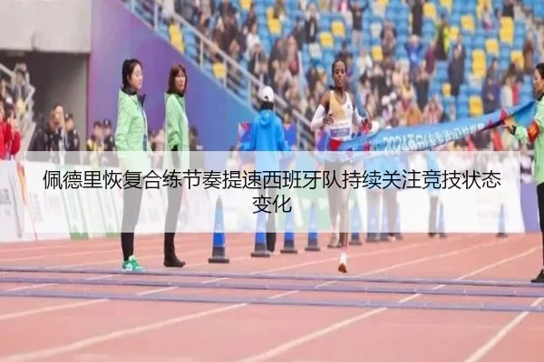 佩德里恢复合练节奏提速西班牙队持续关注竞技状态变化